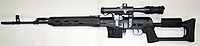 Custom Tiger RIfles